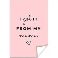 MuchoWow Ideaal geschenk voor Moederdag – I got it from my mama – roze poster poster 120x180 cm XXL / Groot formaat!