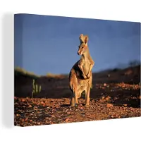 MuchoWow Kangoeroe zonsondergang Canvas 180x120 cm - Foto print op Canvas schilderij (Wanddecoratie woonkamer / slaapkamer) / Wilde dieren Canvas Schilderijen XXL / Groot formaat!