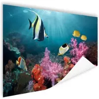 MuchoWow Kleurig koraal Poster 90x60 cm - Foto print op Poster (wanddecoratie)