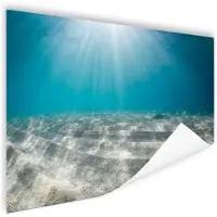 MuchoWow Zonlicht op de zeebodem Poster 60x40 cm - Foto print op Poster (wanddecoratie)
