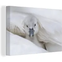 MuchoWow Baby zwaan Canvas 120x80 cm - Foto print op Canvas schilderij (Wanddecoratie woonkamer / slaapkamer) / Wilde dieren Canvas Schilderijen