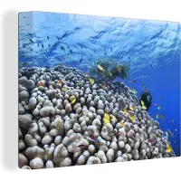 MuchoWow Onderwater rif met vissen Canvas 40x30 cm - klein - Foto print op Canvas schilderij (Wanddecoratie woonkamer / slaapkamer)