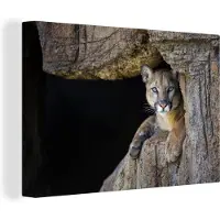 MuchoWow Canvas Schilderij Poema in grot - 90x60 cm - Wanddecoratie