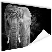 MuchoWow Poster Portret van een olifant in zwart-wit - 180x120 cm XXL
