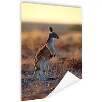 MuchoWow Staande rode kangoeroe Poster 80x120 cm - Foto print op Poster (wanddecoratie woonkamer / slaapkamer) / Wilde dieren Poster
