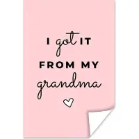 MuchoWow Cadeau oma voor Moederdag met quote I got it from my grandma – roze poster poster 40x60 cm