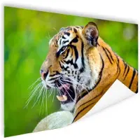 MuchoWow Brullende tijger Poster 60x40 cm - Foto print op Poster (wanddecoratie)