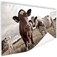 MuchoWow Koeien op een veld sepia Poster 90x60 cm - Foto print op Poster (wanddecoratie woonkamer / slaapkamer)