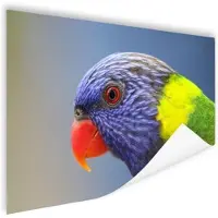MuchoWow Poster Regenbooglori - 60x40 cm