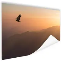 MuchoWow Poster Zeearend - Vliegend - Natuur - Zon - Licht - Vogels - 180x120 cm XXL