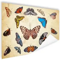 MuchoWow Poster Botanische print vlinders - 120x90 cm
