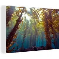 MuchoWow Zonlicht en planten onder water Canvas 180x120 cm - Foto print op Canvas schilderij (Wanddecoratie woonkamer / slaapkamer) XXL / Groot formaat!