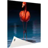 MuchoWow Flamingo donkere achtergrond Tuinposter 40x60 cm - klein - Tuindoek / Buitencanvas / Schilderijen voor buiten (tuin decoratie)