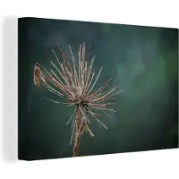 MuchoWow Droge bloem Canvas 180x120 cm - Foto print op Canvas schilderij (Wanddecoratie woonkamer / slaapkamer) XXL / Groot formaat!