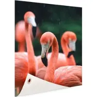 MuchoWow Flamingos in de regen Tuinposter 80x120 cm - Tuindoek / Buitencanvas / Schilderijen voor buiten (tuin decoratie)