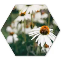 MuchoWow Hexagon wanddecoratie - Kunststof Wanddecoratie - Hexagon Schilderij - Bloemen - Herfst - Botanisch - 75x65 cm