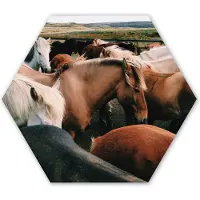 MuchoWow Hexagon wanddecoratie - Kunststof Wanddecoratie - Hexagon Schilderij - Paarden - Dieren - Wild - 120x103 cm