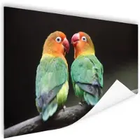 MuchoWow Lovebirds papegaaitjes Poster 60x40 cm - Foto print op Poster (wanddecoratie)