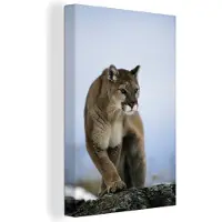 MuchoWow Poema op rots Canvas 120x180 cm - Foto print op Canvas schilderij (Wanddecoratie woonkamer / slaapkamer) / Wilde dieren Canvas Schilderijen XXL / Groot formaat!