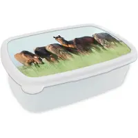MuchoWow Broodtrommel Wit - Lunchbox Paarden - Dieren - Gras - Zomer - Brooddoos 18x12x6 cm - Brood lunch box - Broodtrommels voor kinderen en volwassenen