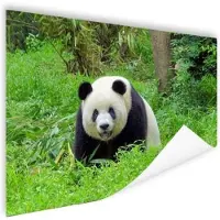 MuchoWow Grote panda in het gras Poster 180x120 cm - Foto print op Poster (wanddecoratie) / Dieren Poster XXL / Groot formaat!