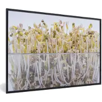 MuchoWow Foto in lijst - Taugé in een glaskom tegen een witte achtergrond fotolijst zwart 60x40 cm - Poster in lijst (Wanddecoratie woonkamer / slaapkamer)