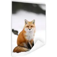MuchoWow Wilde rode vos Poster 60x90 cm - Foto print op Poster (wanddecoratie woonkamer / slaapkamer) / Wilde dieren Poster