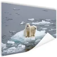 MuchoWow Polarberen op het pakijs Poster 180x120 cm - Foto print op Poster (wanddecoratie woonkamer / slaapkamer) / Wilde dieren Poster XXL / Groot formaat!