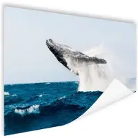MuchoWow Walvis springt achterover in blauw water Poster 60x40 cm - Foto print op Poster (wanddecoratie woonkamer / slaapkamer)