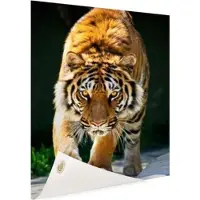 MuchoWow Sluipende tijger Tuinposter 40x60 cm - klein - Tuindoek / Buitencanvas / Schilderijen voor buiten (tuin decoratie)