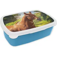 MuchoWow Broodtrommel Blauw - Lunchbox - Brooddoos - Paard - Licht - Portret - 18x12x6 cm - Kinderen - Jongen