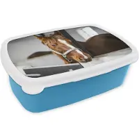 MuchoWow Broodtrommel Blauw - Lunchbox - Brooddoos - Paard- Bruin - Stal - 18x12x6 cm - Kinderen - Jongen