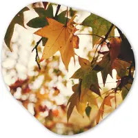 MuchoWow Organische wanddecoratie 60x60 cm - Organisch schilderij Natuur - Herfstbladeren - Landelijk - Muurdecoratie woonkamer - Kamer decoratie - Schilderijen - Muurcirkel aesthetic