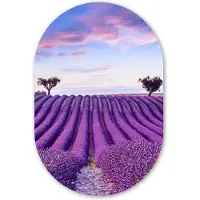 MuchoWow Muurovaal 80x120 cm - Ovale wanddecoratie Lavendel - Natuur - Paars - Bomen - Bloemen - Ovalen schilderij - Muurdecoratie woonkamer - Kamer decoratie - Schilderijen - Wandcirkel