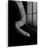 MuchoWow Glasschilderij - Foto op glas - Acrylglas - Dieren - Slang - Zwart - Wit - 120x160 cm - Muurdecoratie glas - Slaapkamer - Glasschilderij dieren - Schilderij glas - Wanddecoratie