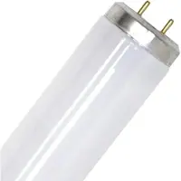SPL T12 Insectenlamp | 20W 590mm