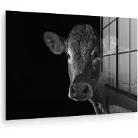 MuchoWow - Glasschilderij - Foto op glas - Acrylglas - Dieren - Koe - Zwart - Wit - 180x120 cm - Woonkamer - Glasschilderij koe - Muurdecoratie glas - Glasschilderij zwart wit