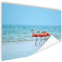 MuchoWow Poster Vier flamingo's staan op het strand - 160x120 cm XXL