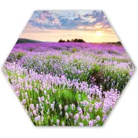 MuchoWow Hexagon wanddecoratie - Kunststof Wanddecoratie - Hexagon Schilderij - Bloemen - Lavendel - Paars - Lucht - Zonsondergang - Weide - Natuur - 37x32 cm