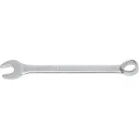 Bgs Combisleutel SW 21 mm - 30521
