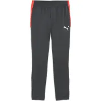 Puma LIGA Training Pant