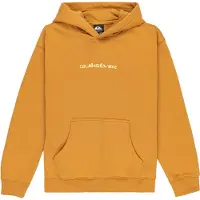 Quiksilver Salt Water Graphic Hoodie Geel 16 Years Jongen