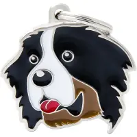 My Family Naamplaatje Berner Sennenhond