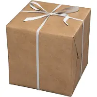 Panduro Cadeaupapier - 10 meter - kraft