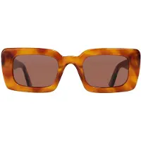 Ace & tate Jacques Sepia Sun Size: M | Sunglasses Outlet | Unisex | Bruin