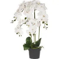 Beliani ORCHID - Kunstplant - Wit/Groen - 63 cm - Synthetisch