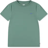 Levi's Shirt groen