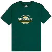 Quiksilver Ev Type Line T-shirt Met Korte Mouwen Groen 16 Years Jongens