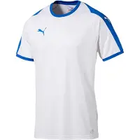 Puma Liga Jersey Training T-shirt Korte Mouw Crew Hals Blauw Heren Top 703417 12
