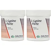 Deba Pharma L-Lysine Forte 500mg 2x120 St Capsules